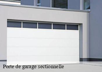 Porte de garage sectionnelle Seine-Saint-Denis 