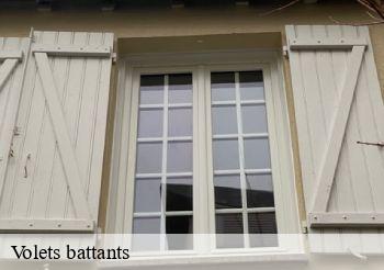 Volets battants  93000