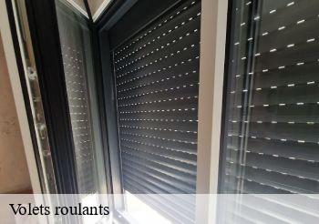 Volets roulants  93700